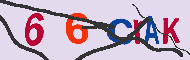 Codice captcha