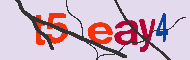 Codice captcha